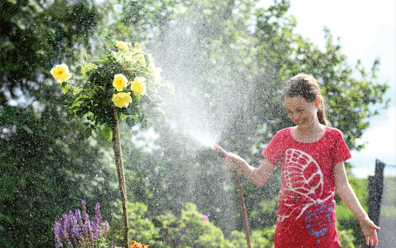 Wasserautark werden in Haus und Garten
